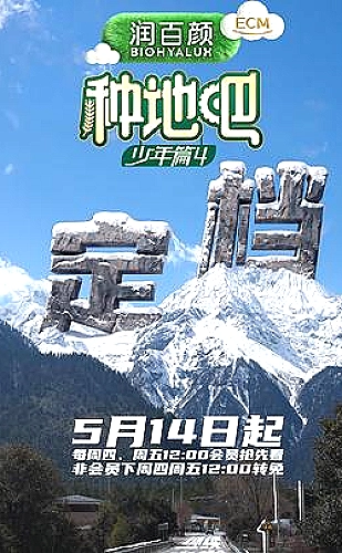粉色水蜜桃鲜果与清甜生活主题